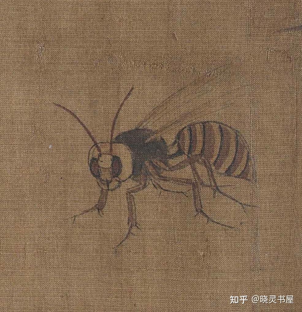 五代黄筌 | 《写生珍禽图》卷 - 知乎