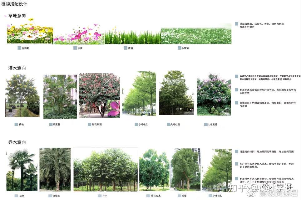 2021毕设配套素材10丨植物分析psd大汇总 - 知乎