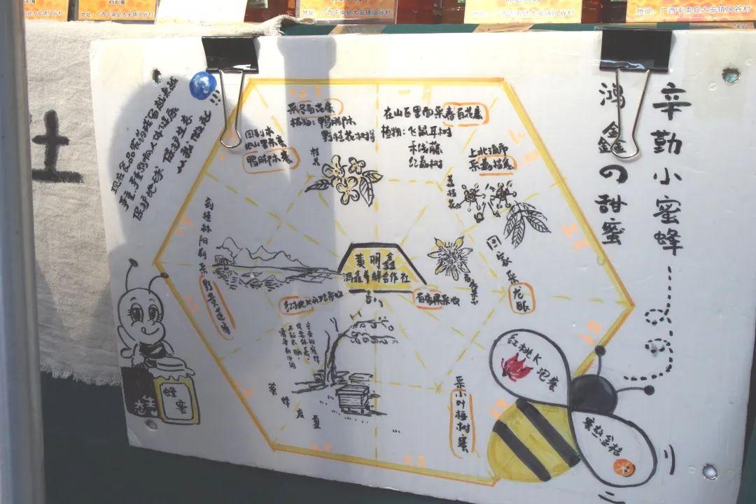 五岁的丰年庆终于长成梦想中的模样