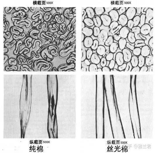 乾貨認識各種棉棉木棉絲光棉人造棉珍珠棉