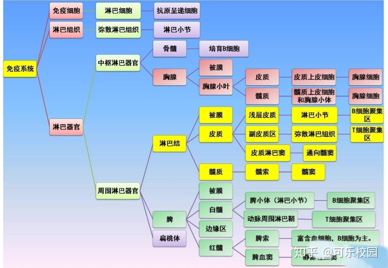 【思维导图】9.