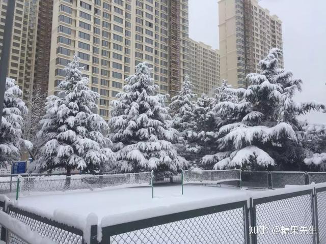威海冬季旅游攻略新鲜出炉,这样的安排简直完美! - 知乎
