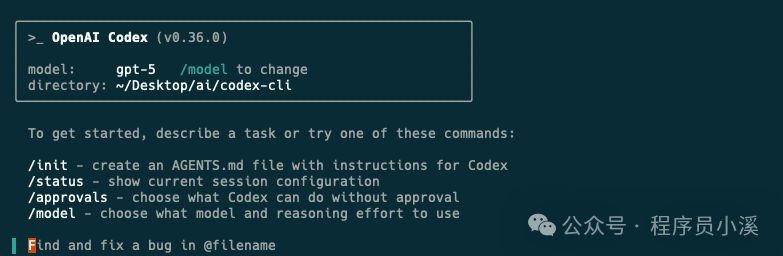 Codex CLI初体验 - 知乎