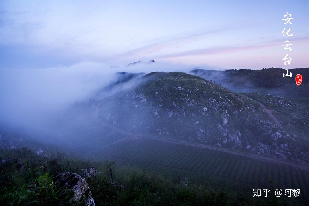 安化云台山最美茶宿,面朝云海,春暖茶香