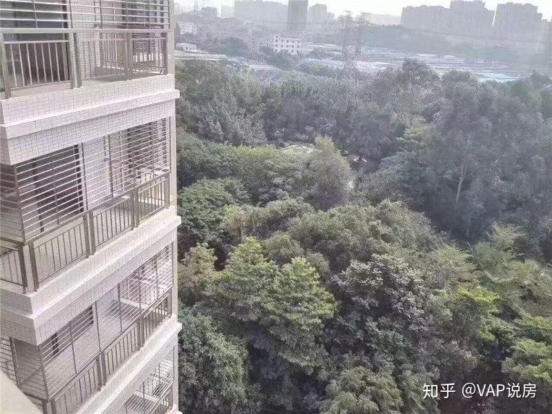 想问下大家可以一辈子在深圳租房生活吗? - 知乎