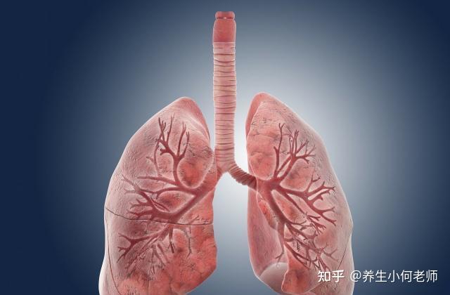 肾虚的根本是气虚,别乱补,否则越补越虚!中医教你正确补气! - 知乎