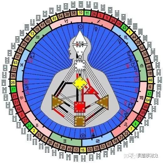 全网最全的人类图解析(下)——类型、人生角色、定义等 - 知乎