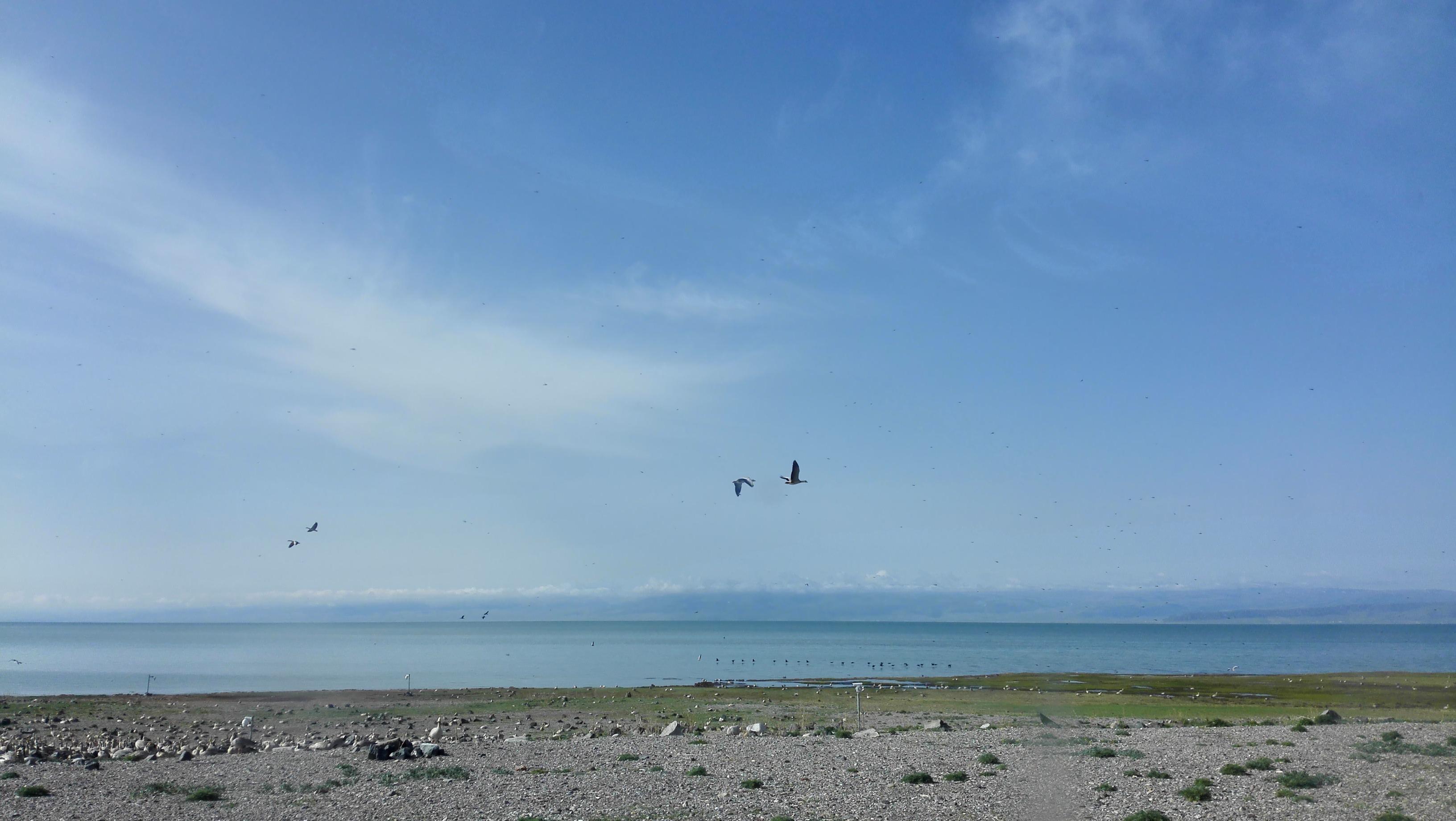 青色的海,静谧的湖