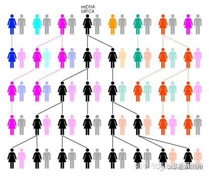 分子遗传学入门知识简答（三） - 知乎