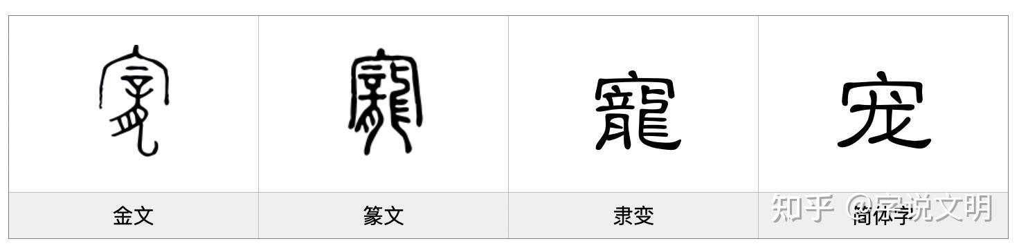 宠——每日一字·宀部字 - 知乎