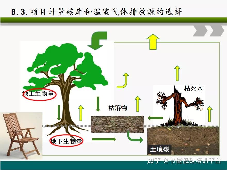 森林碳汇项目开发流程及前景展望 | PPT - 知乎