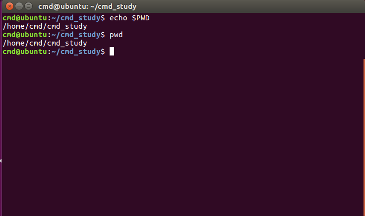 Команда pwd в linux