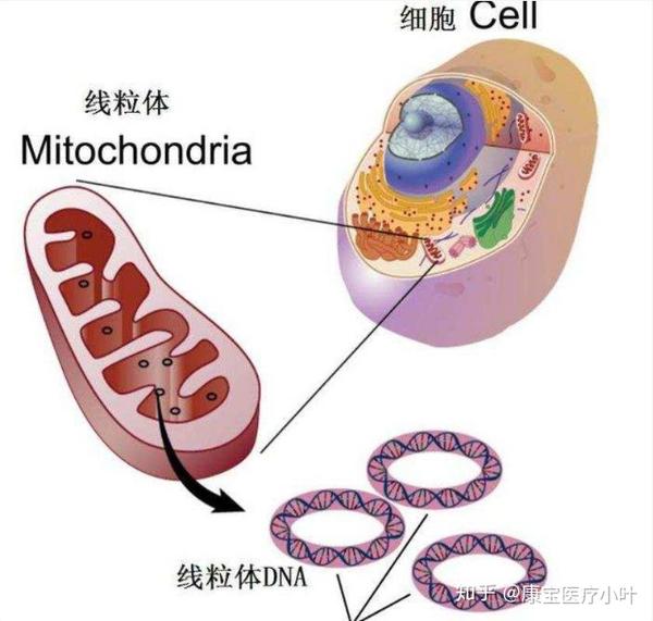 知乎专栏