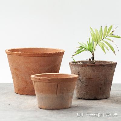 花盆怎么选 一文搞清楚 知乎