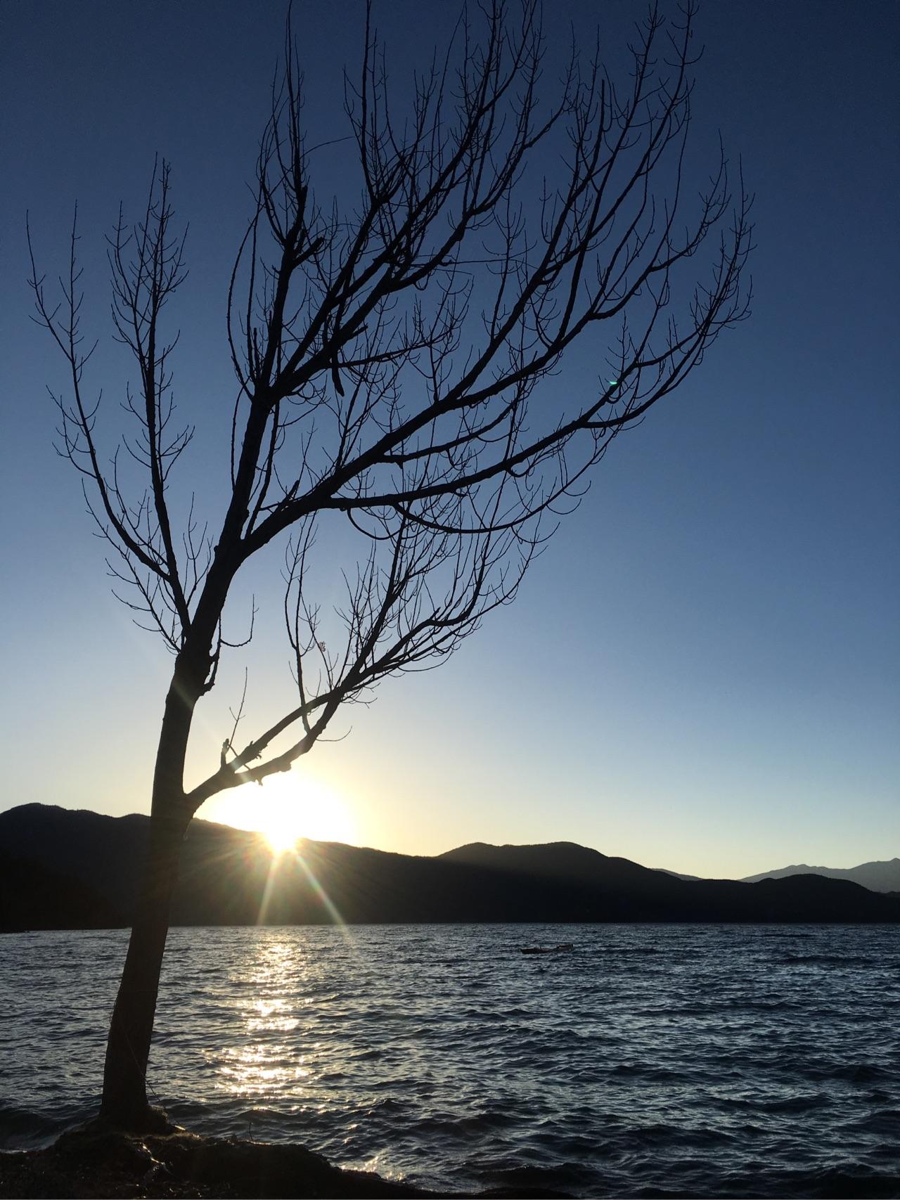 趁阳光正好微风不燥