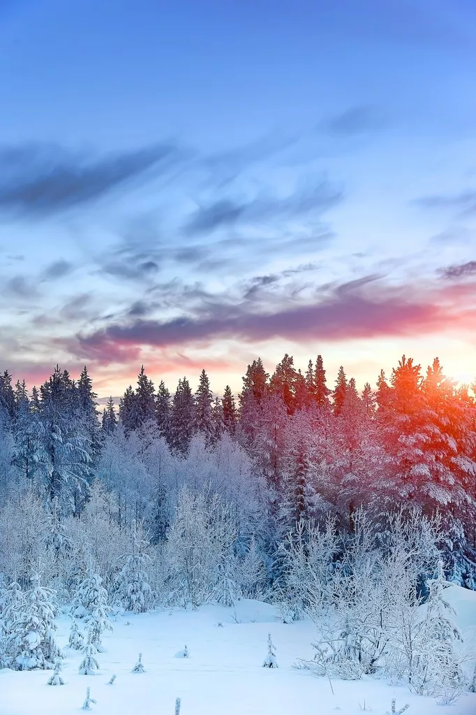 新疆刚下雪,小伙伴不淡定了:原来冬天的新疆是这样的! - 知乎