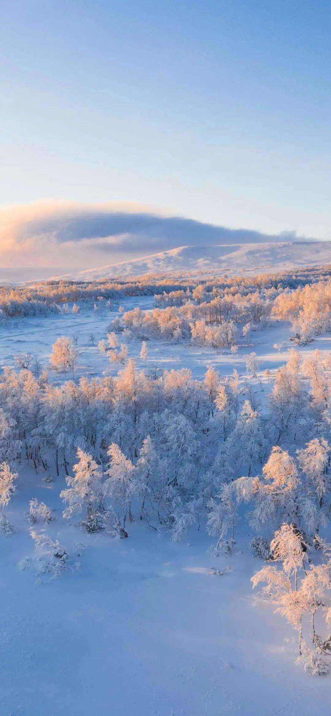 雪景朋友圈背景图图片