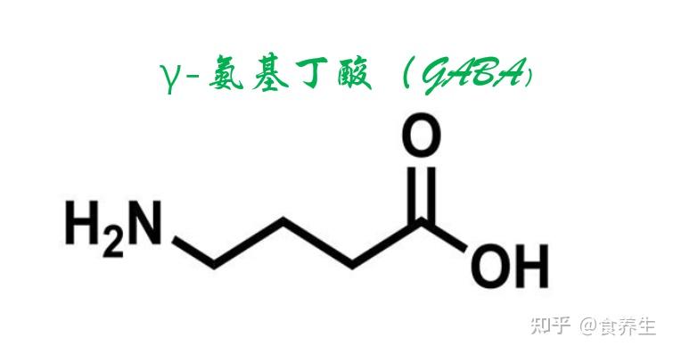 γ-氨基丁酸(gaba)化学结构2001年,日本厚生劳动省正式将γ-氨基丁酸