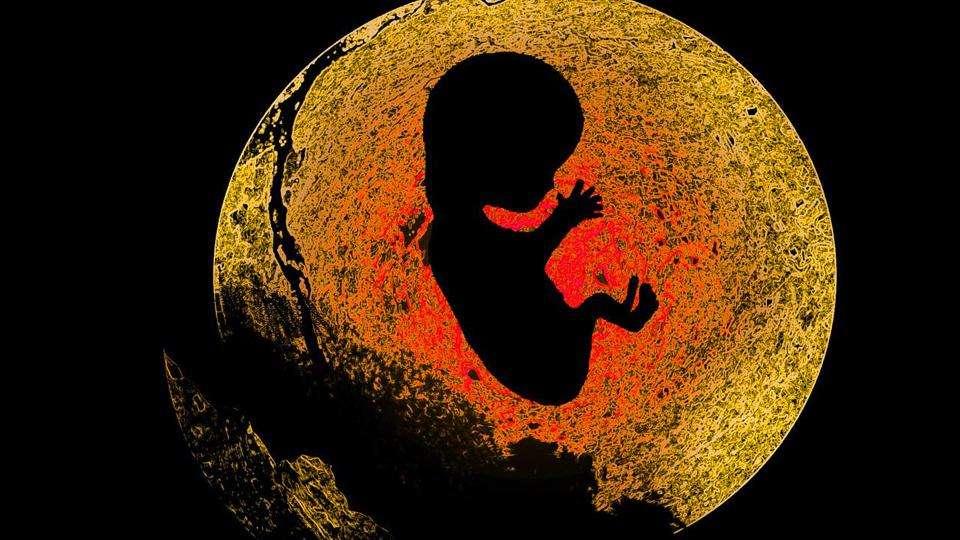 怪谈事件簿之婴灵二农村怪谈