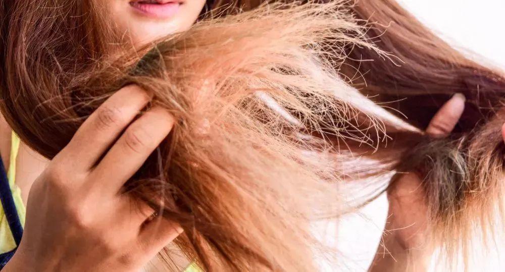 为什么一直买不到好用的洗发水不同发质挑选思路都在这了