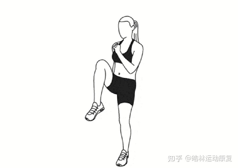 髂腰肌的主要作用是屈髋,就是站立位时将大腿提起来的动作.