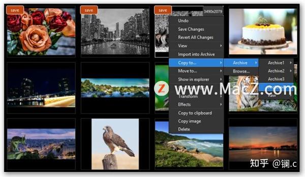 for mac download ImageRanger Pro Edition 1.9.4.1874