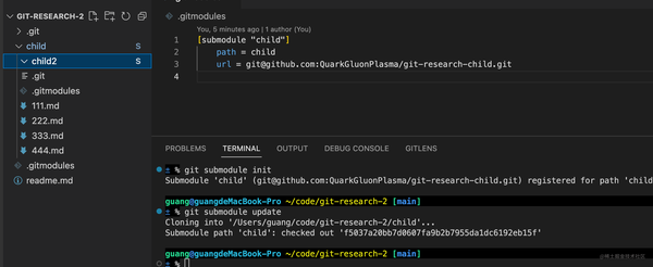 Git Submodule 和 Git Subtree，你会选择哪个来管理子项目？ - 知乎