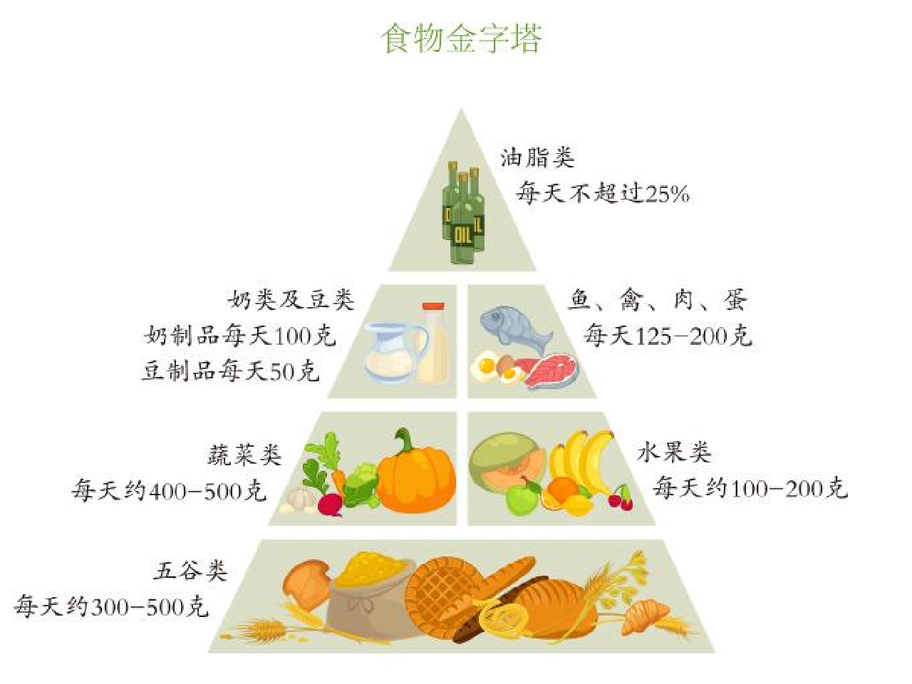 减肥食物金字塔图片