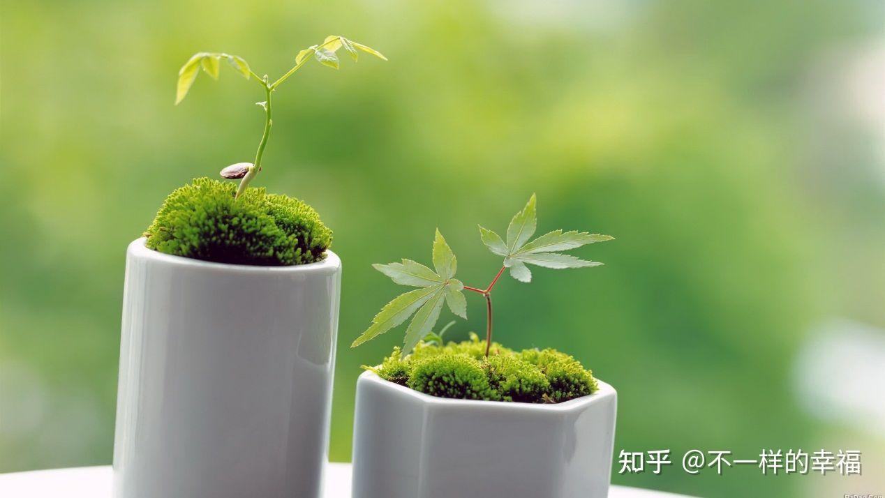 处世秘诀 - 知乎