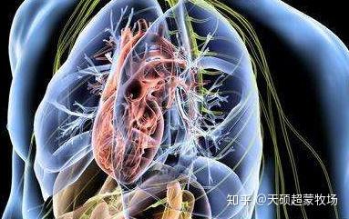 为什么吃得不多,但还是会胖?其实是体虚+湿邪在“作祟” - 知乎