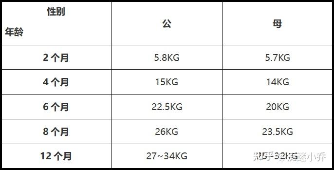 拉布拉多犬食量标准表图片