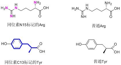 同位素示踪法同位素技术同位素标记物isotopelabeling
