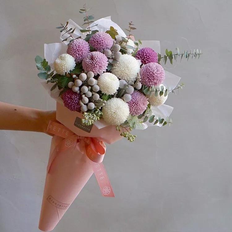 植库‖谁说可可爱爱,没有脑袋?可可爱爱的乒乓菊有一个圆圆的脑袋