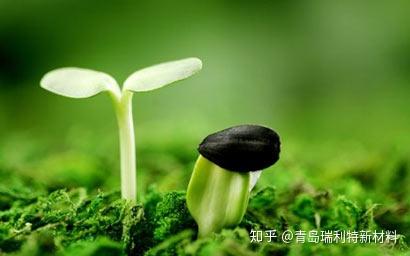 v2-8778446a46d91b373a4db692aff12d47_b.jpg