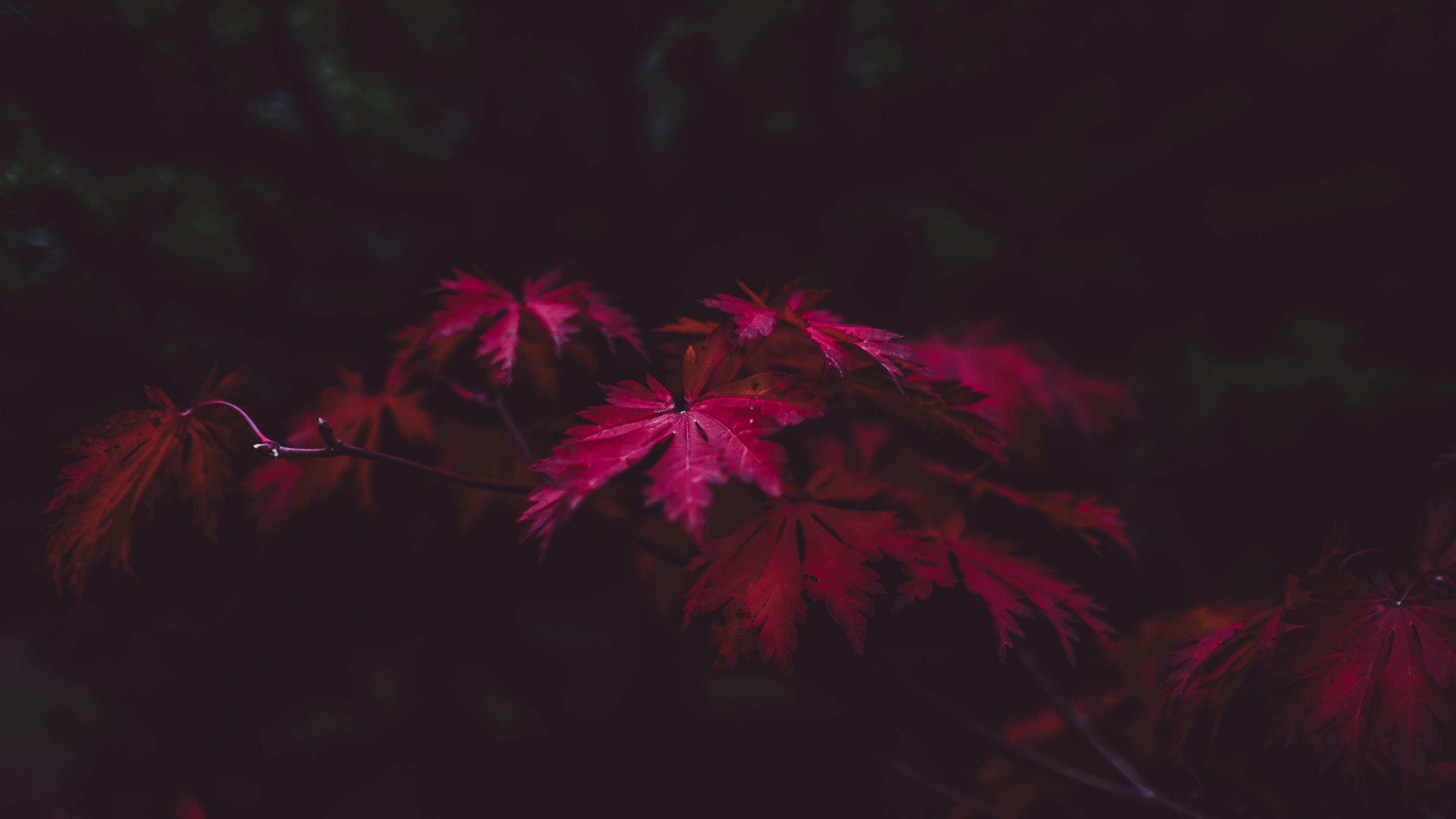 v2-877da97ef62c4733ee4cddf8a602a28b_r.jpg