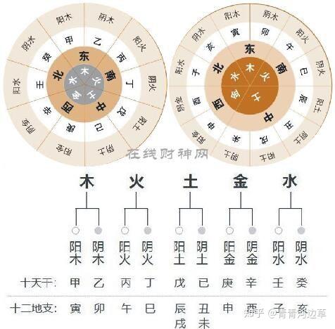 天干地支取象的解读 - 知乎