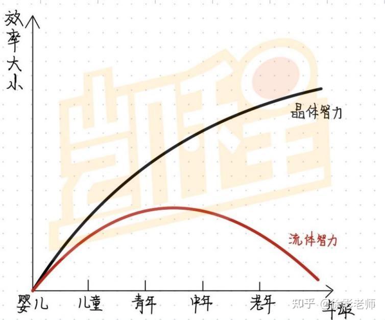 卡特尔智力图片