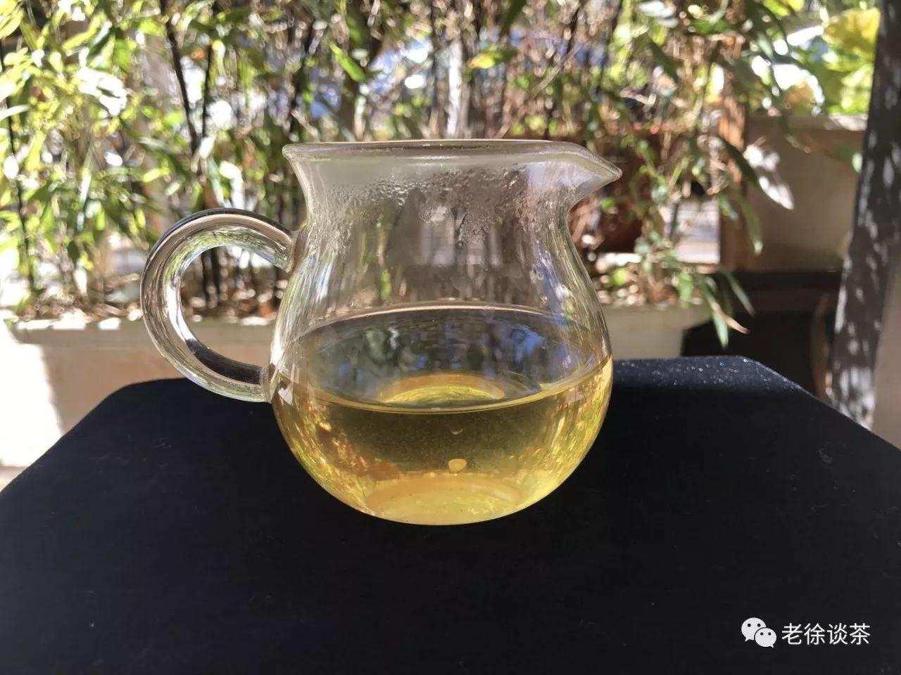 【老徐鑑茶】第86期:2017年春·香竹箐千年古樹茶