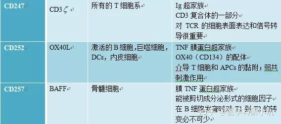 常说的CD3,CD4,CD8,CD19,CD34,CD45 是什么？ - 知乎
