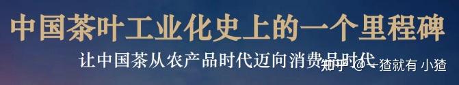 2024年中国茶叶产业品牌营销策划全案研究专题报告合集 - 知乎