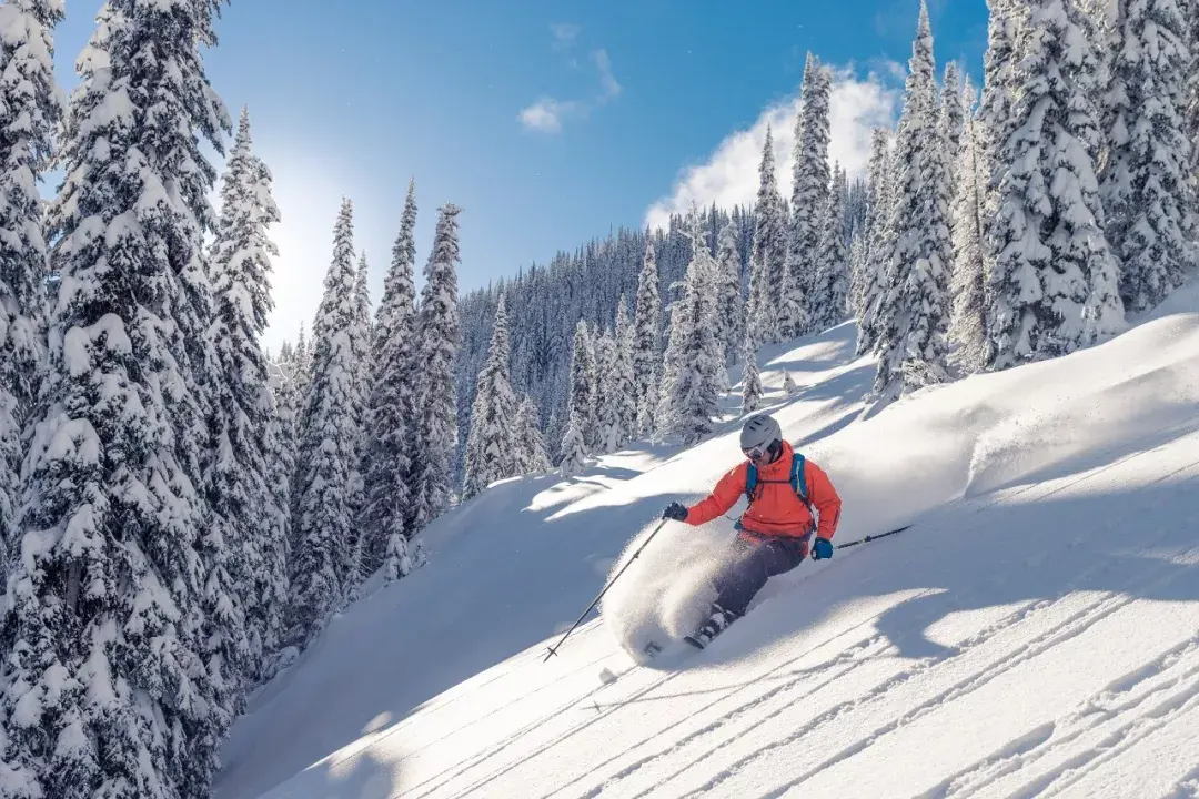 冬天去高山滑雪還是去海島曬太陽這是一個問題