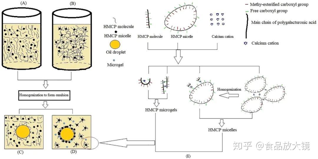 food chemistry:氯化钙对甲基酯化柑橘果胶乳液稳定性的影响 