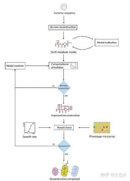 基因尺度代谢网络模型 - 知乎