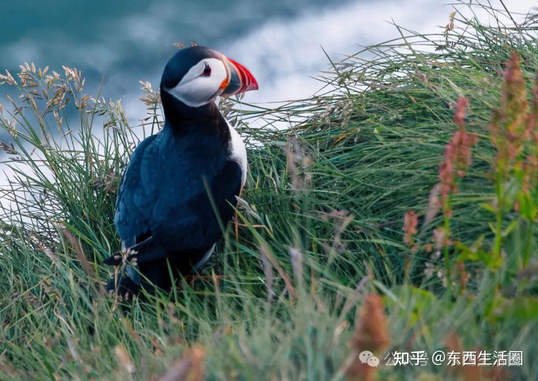 2024年全球最值得去的20个地方日全食和奥运会不要错过