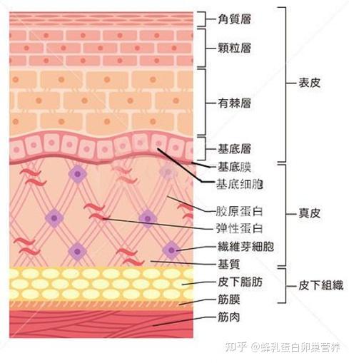 如何选择面膜好的面膜成分应该有哪些