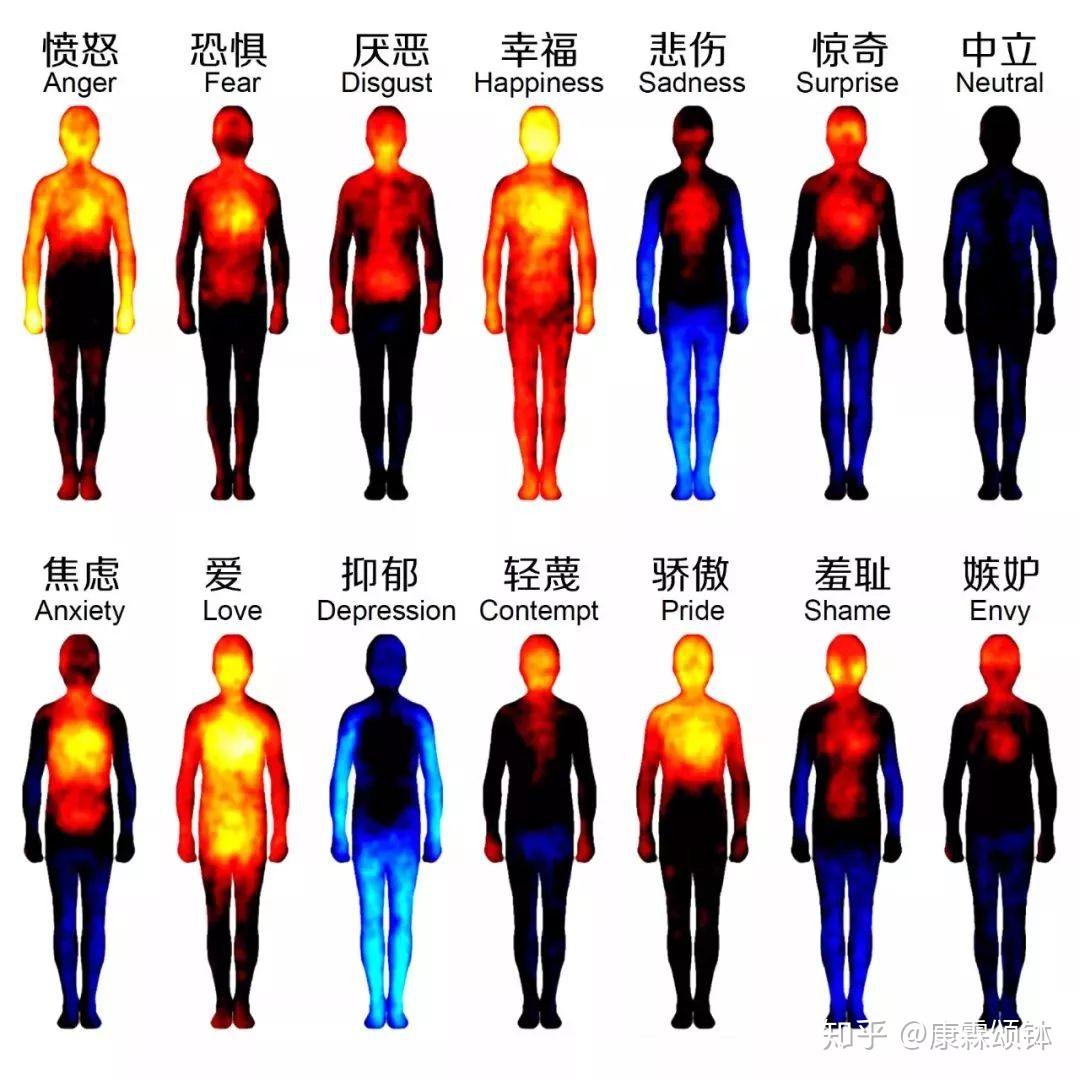 每一种情绪都会产生相应的激素，从而影响你的身体。 知乎
