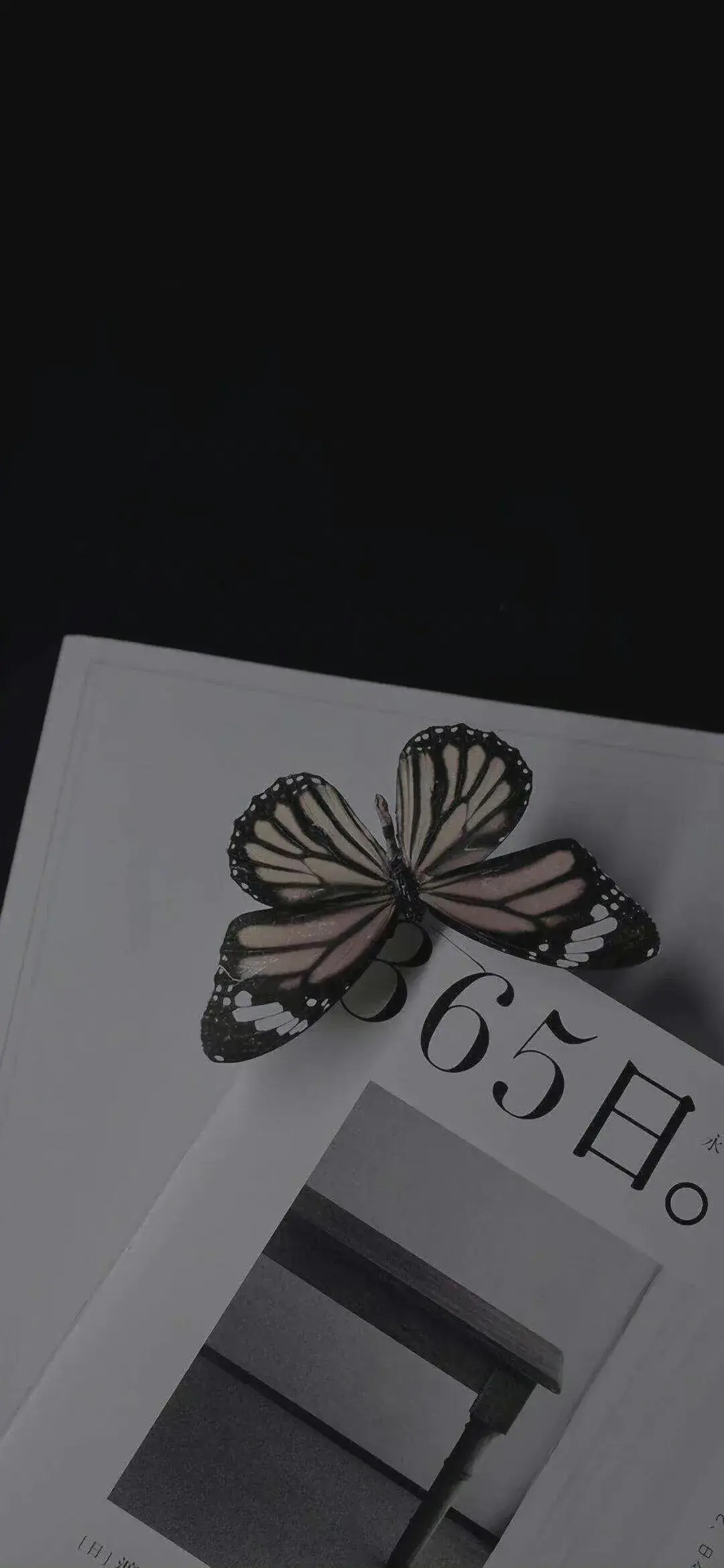 求黑色系壁纸全面屏谢谢