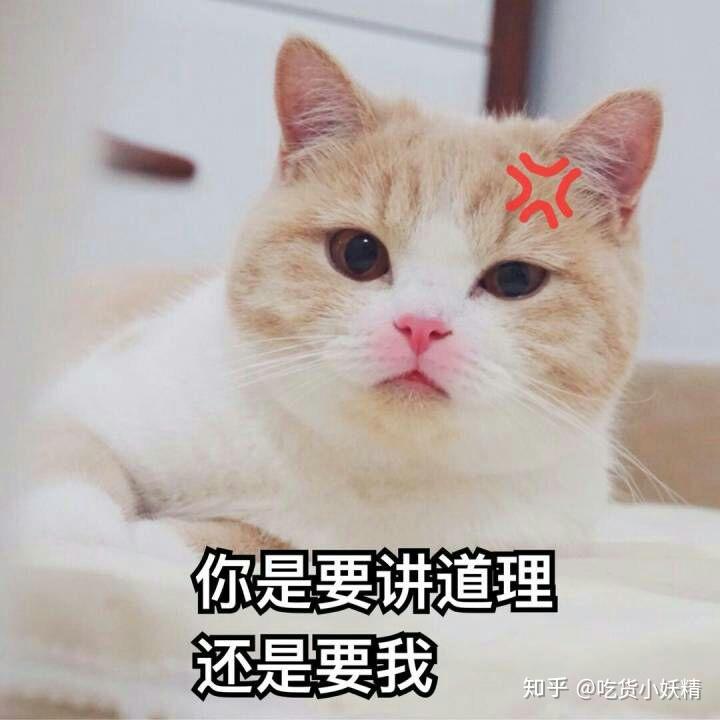 v2-87dcb724caf154ec2e0c6540c7204377_r.jpg