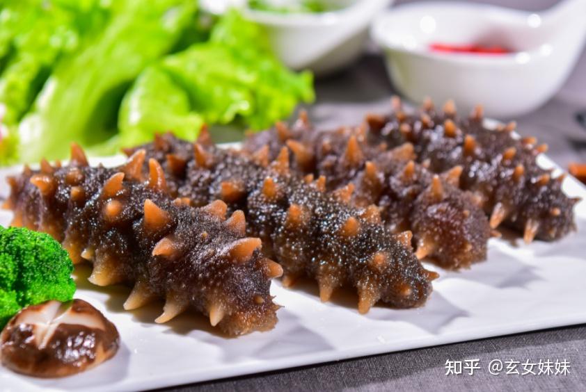 2024年十大海参品牌推荐!海参怎么选?海参选哪个牌子好?同仁堂/雷允上/棒棰岛/参王朝/獐子岛等海参品牌介绍!适合送父母/送长辈/送孕妇