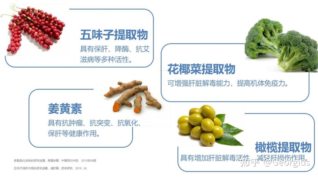 减脂营养素护肝茶蓟椰橄提取物